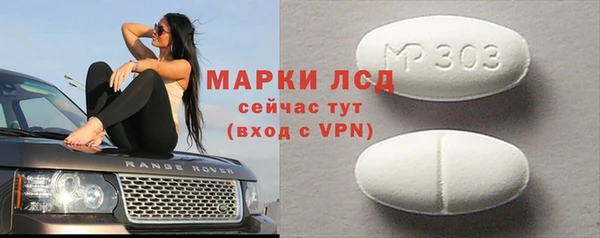 хмурый Алзамай