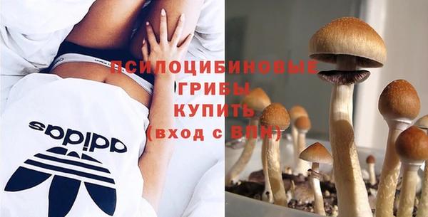 героин Сатка