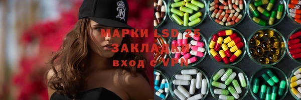 хмурый Алзамай