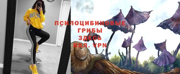 мяу мяу мука Алексеевка