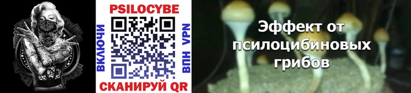 Псилоцибиновые грибы MAGIC MUSHROOMS где можно купить наркотик Беслан